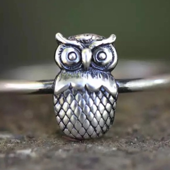 Jewelry - 🦉 Retro Unique Minimalist 925 Owl Ring 🦉
